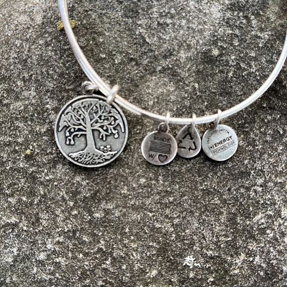 Alex and Ani Energy Bracelet - Picture 3 of 4